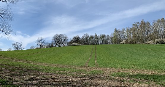 Wetter (Foto: oas) Wetter (Foto: oas)