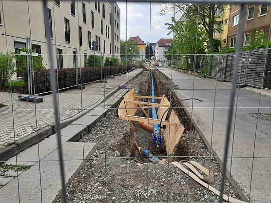 KN auf Fotopirsch (Foto: Karl-Heinz Herrmann) KN auf Fotopirsch (Foto: Karl-Heinz Herrmann)