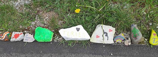 KN auf Fotopirsch (Foto: Karl-Heinz Herrmann) KN auf Fotopirsch (Foto: Karl-Heinz Herrmann)