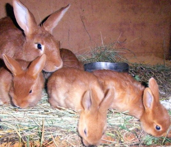 Spaß im Ferienlager (Foto: Horizont) Spaß im Ferienlager (Foto: Horizont)