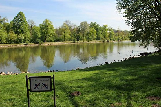 Den Parkteichen von Sondershausen fehlt (e) das Wasser (Foto: Karl-Heinz Herrmann)
