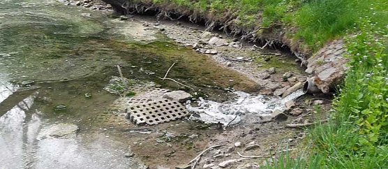 Kleiner Parkteich füllt sich wieder (Foto: Karl-Heinz Herrmann) Kleiner Parkteich füllt sich wieder (Foto: Karl-Heinz Herrmann)