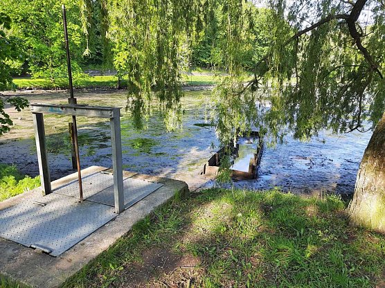 Wipper wird zum Problem f&uuml;r den kleinen Parkteich (Foto: Karl-Heinz Herrmann)