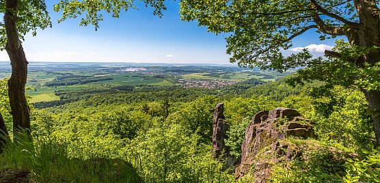 Was f&uuml;r's Auge (Foto: A. Levi)