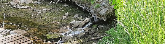 Schlossteich wird befüllt (Foto: Karl-Heinz Herrmann) Schlossteich wird befüllt (Foto: Karl-Heinz Herrmann)