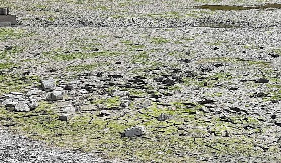 Schlossteich wird befüllt (Foto: Karl-Heinz Herrmann) Schlossteich wird befüllt (Foto: Karl-Heinz Herrmann)