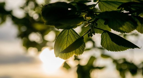 Wetterbild (Foto: Gernot Thelemann)
