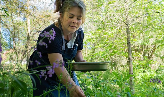 Selbstversorgergarten (Foto: Florian Held)
