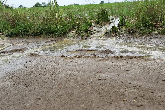 Dauerregen ruft Feuerwehren auf den Plan (Foto: Silvio Dietzel)