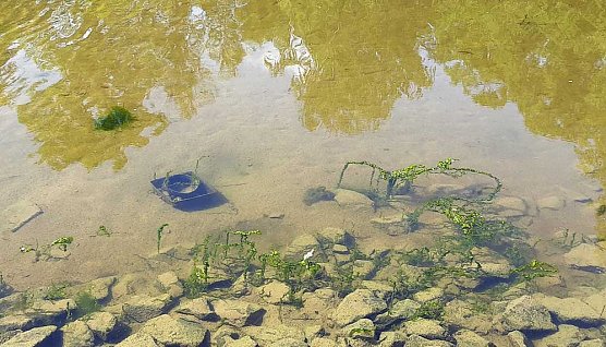 Stiftung Th&uuml;ringer Schl&ouml;sser und G&auml;rten, Manuel Mucha (Foto: Karl-Heinz Herrmann)