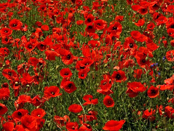 Wetterbild (Foto: Peter Blei) Wetterbild (Foto: Peter Blei)