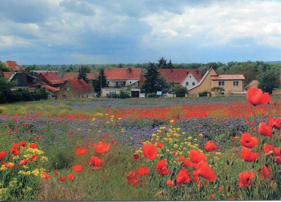 Blick vom Himmelsberg (Foto: Peter Ke&szlig;ler)