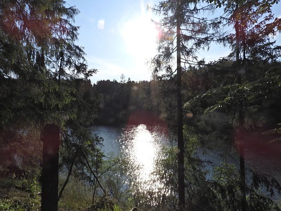 Sommer an der Neustädter Talsperre (Foto: Peter Blei) Sommer an der Neustädter Talsperre (Foto: Peter Blei)