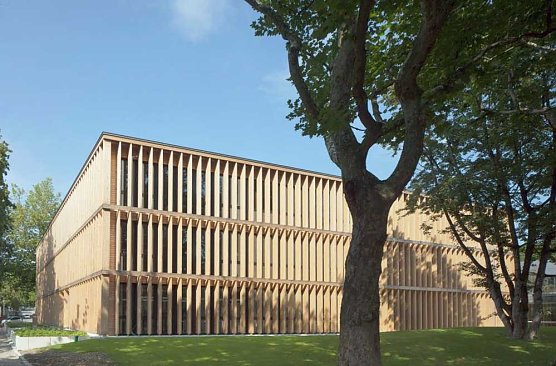 Wie kommt das CO<sub>2</sub> in das Holzbrett? (Foto: Dr. Horst Sproßmann - ThüringenForst) Wie kommt das CO<sub>2</sub> in das Holzbrett? (Foto: Dr. Horst Sproßmann - ThüringenForst)