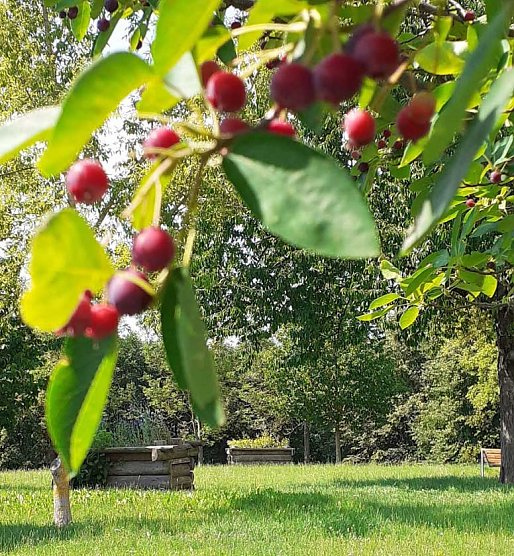 ...auch in diesem Jahr (Foto: HOC) ...auch in diesem Jahr (Foto: HOC)