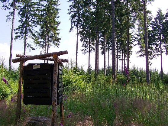 Mit diesen lockstoffhaltigen Borkenk&auml;ferfallen werden nicht nur Zeitpunkt, Richtung und Intensit&auml;t des Borkenk&auml;ferfluges in den 281 Forstrevieren Th&uuml;ringens festgestellt, sondern auch die gefangenen K&auml;fer regelm&auml;&szlig;ig ausgez&auml;hlt. (Foto: Th&uuml;ringenForst)
