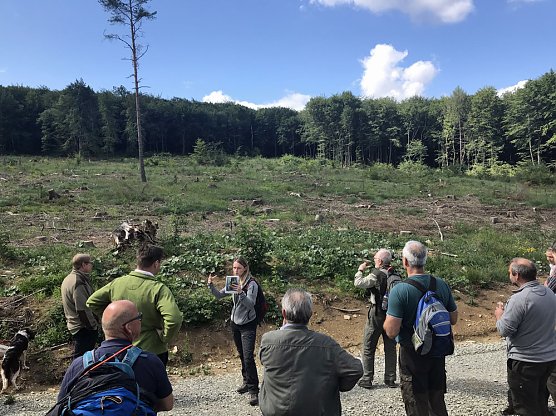 Borkenk&auml;fer hat gew&uuml;tet und mehr (Foto: Verein  Statt Urwald � Kulturwald am Possen und Hainleite e.V.)