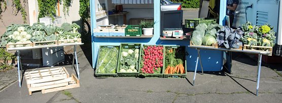 Wo bleibt die Lösung zum Einkaufen? (Foto: privat) Wo bleibt die Lösung zum Einkaufen? (Foto: privat)