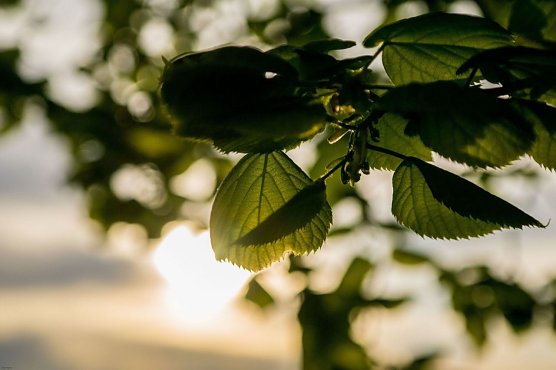 Wetterbild (Foto: Gernot Thelemann)