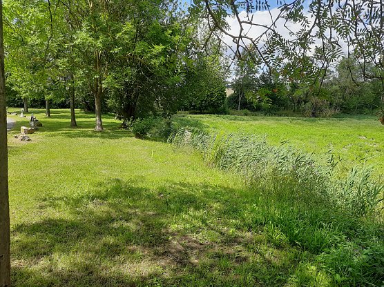 Über die wirklich fehlenden Bänke regt sich niemand auf (Foto: privat) Über die wirklich fehlenden Bänke regt sich niemand auf (Foto: privat)