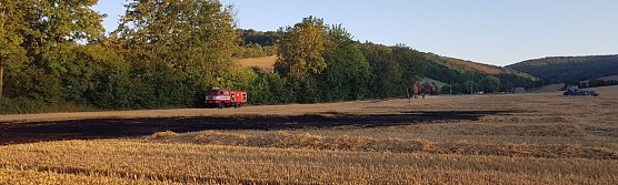 Feldbrand auch im Kyffh&auml;userkreis (Foto: Silvio Dietzel)