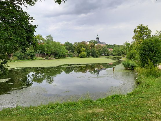 Fernsehen an der Kiesgrube und mehr (Foto: Fernsehen an der Kiesgrube und mehr)