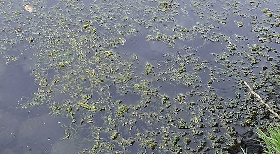 Fernsehen an der Kiesgrube und mehr (Foto: Fernsehen an der Kiesgrube und mehr)