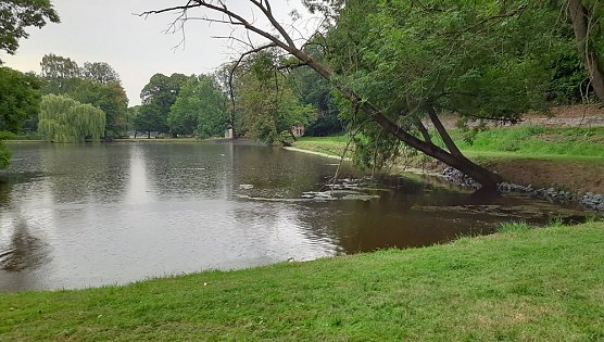 Fernsehen an der Kiesgrube und mehr (Foto: Fernsehen an der Kiesgrube und mehr)