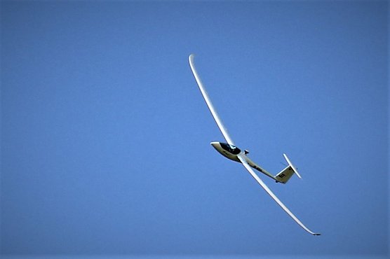 Zwei Neulinge am Frankenhäuser Himmel (Foto: Marion Haas und David Dietrich<) Zwei Neulinge am Frankenhäuser Himmel (Foto: Marion Haas und David Dietrich<)