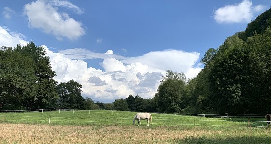 Bei Niedersachswerfen (Foto: oas)