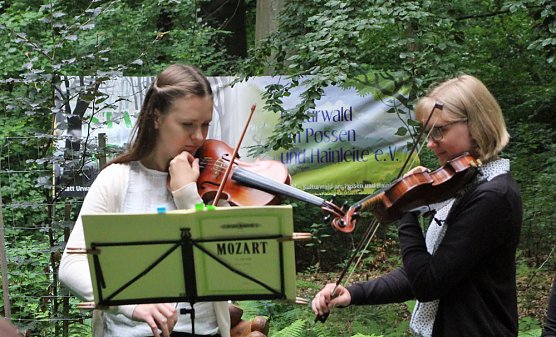 Blutbuchenkönigin bleibt länger im Amt (Foto: Karl-Heinz Herrmann) Blutbuchenkönigin bleibt länger im Amt (Foto: Karl-Heinz Herrmann)