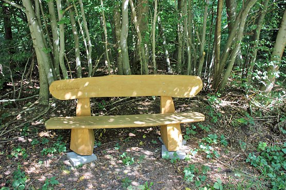 Neues aus der Hainleite (Foto: Karl-Heinz Herrmann)