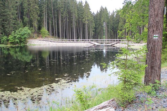 Waldbrandgefahr vorläufig gebannt (Foto: ThüringenForst) Waldbrandgefahr vorläufig gebannt (Foto: ThüringenForst)