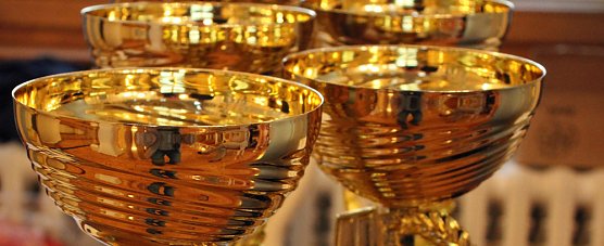 Ehrenamtstag des Sports (Foto: Karl-Heinz Herrmann)