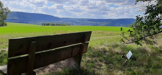 Vertrocknete B&auml;ume, B&auml;nke und mehr (Foto: Karl-Heinz Herrmann)