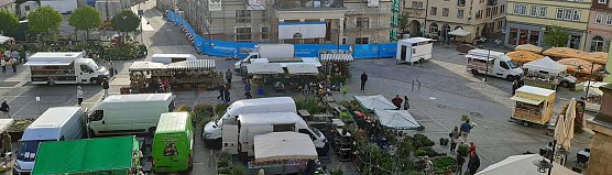 Pflanzenmarkt in Sondershausen gut besucht (Foto: Karl-Heinz Herrmann)
