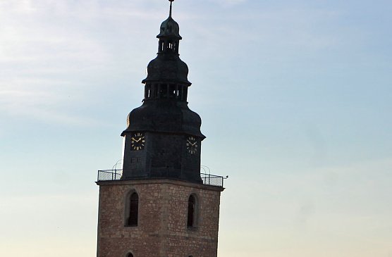 Pflanzenmarkt in Sondershausen gut besucht (Foto: Karl-Heinz Herrmann)