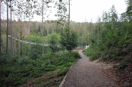 Unternehmer in der Hohen Schrecke (Foto: Karl-Heinz Herrmann)