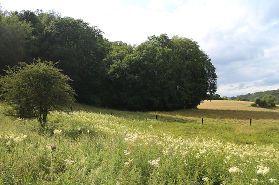 Wetterbild (Foto: agl) Wetterbild (Foto: agl)