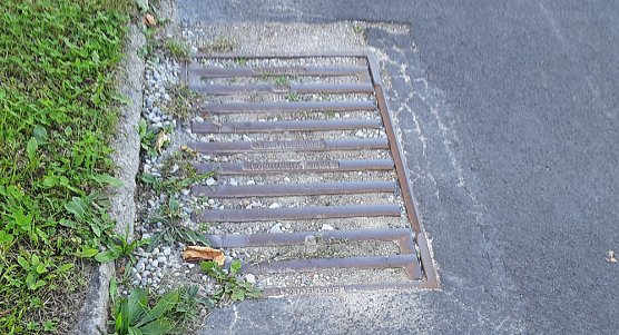 Neue Straßenreinigungsgebühr soll kommen (Foto: Karl-Heinz Herrmann) Neue Straßenreinigungsgebühr soll kommen (Foto: Karl-Heinz Herrmann)