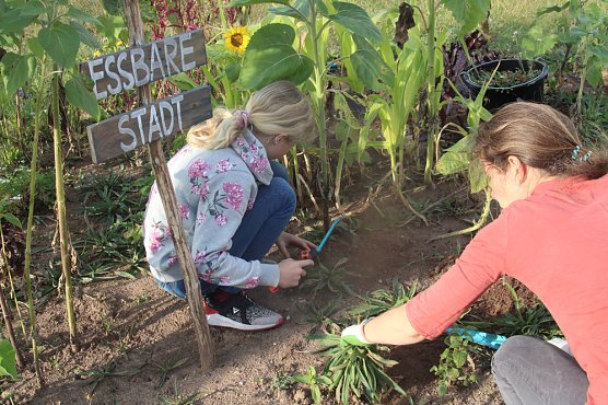 F&uuml;r eine lebendige und zukunftsf&auml;hige Stadt (Foto: Katrin Sieber)