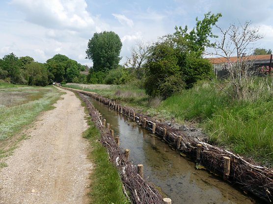 N&auml;chster Bauabschnitt am Solgraben beginnt (Foto: Landschaftspflegeverband S&uuml;dharz/Kyffh&auml;user e. V.)