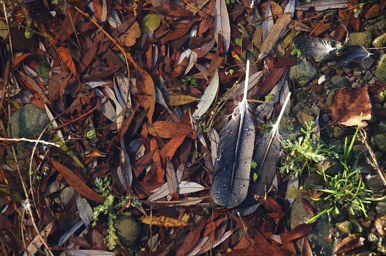 Wetterbild (Foto: agl) Wetterbild (Foto: agl)