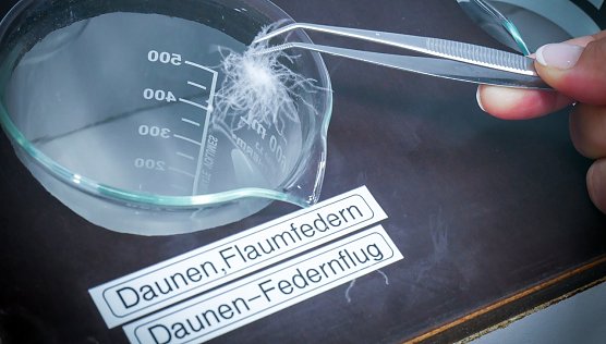 Daunendecken getestet (Foto: Stiftung Warentest)