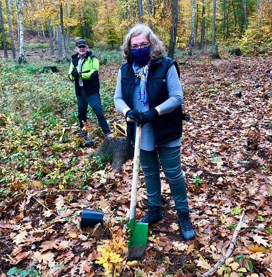 30 Rotbuchen f&uuml;r 30 Jahre Sozialdemokratie im Th&uuml;ringer Landtag (Foto: SPD Fraktion Th&uuml;ringer Landtag)