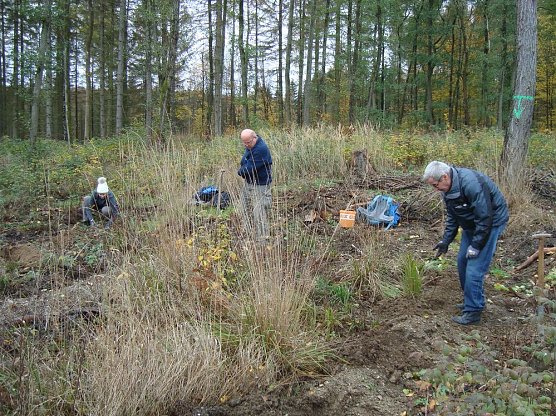 Bäume pflanzen für den Klimaschutz (Foto: Steffen Eisfeld) Bäume pflanzen für den Klimaschutz (Foto: Steffen Eisfeld)