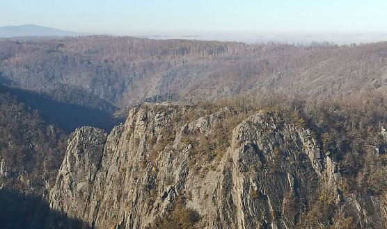 Blick zur Ro&szlig;trappe (Foto: T.Leipold)