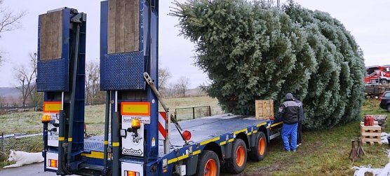 Auf die Reise nach Berlin geschickt (Foto: Th&uuml;ringenForst)