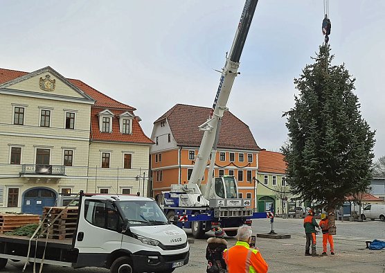 Auch in Sondershausen steht der Weihnachtsbaum (Foto: Karl-Heinz Herrmann)