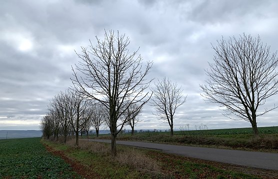 Bei Urbach (Foto: oas) Bei Urbach (Foto: oas)